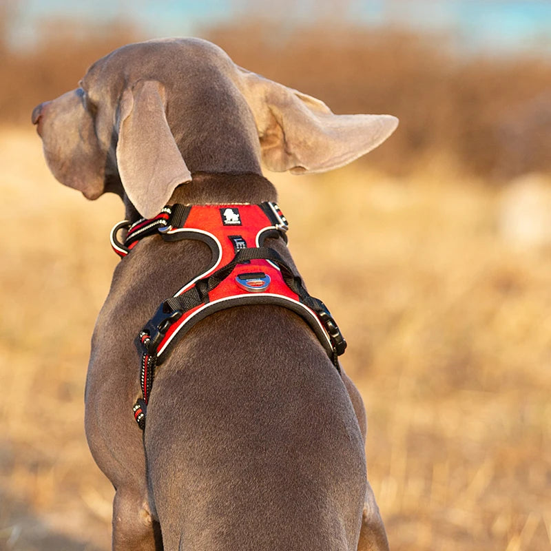 TRUELOVECN Reflective Nylon Dog Harness No Pull Adjustable