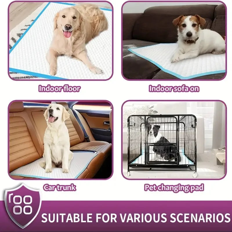 NONEDog Litter Premium Disposable Dog Training Pads Super Absorbent