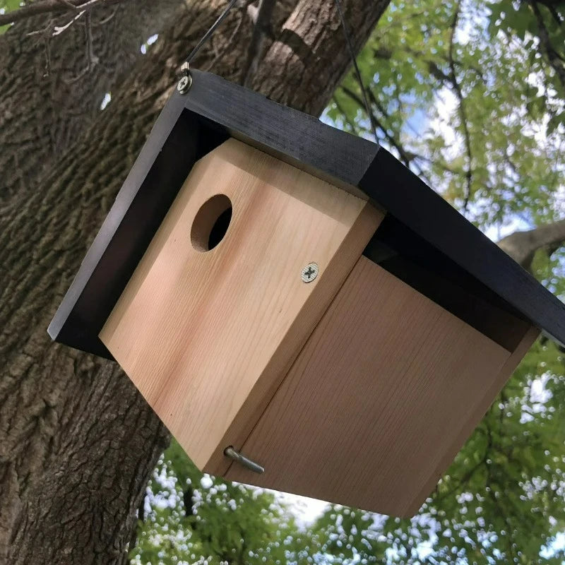 Triangle Cedar Bird House Outdoor Backyard Premium Quality