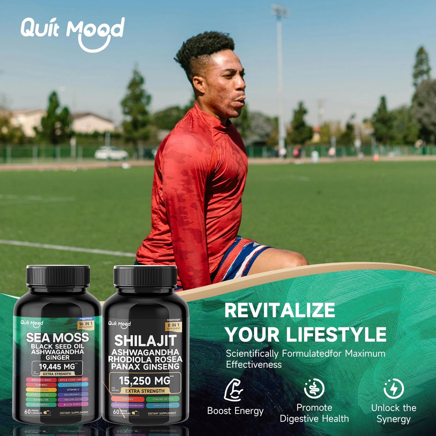 Quit Mood Sea Moss Shilajit Bundle High Potency Vitality Combo