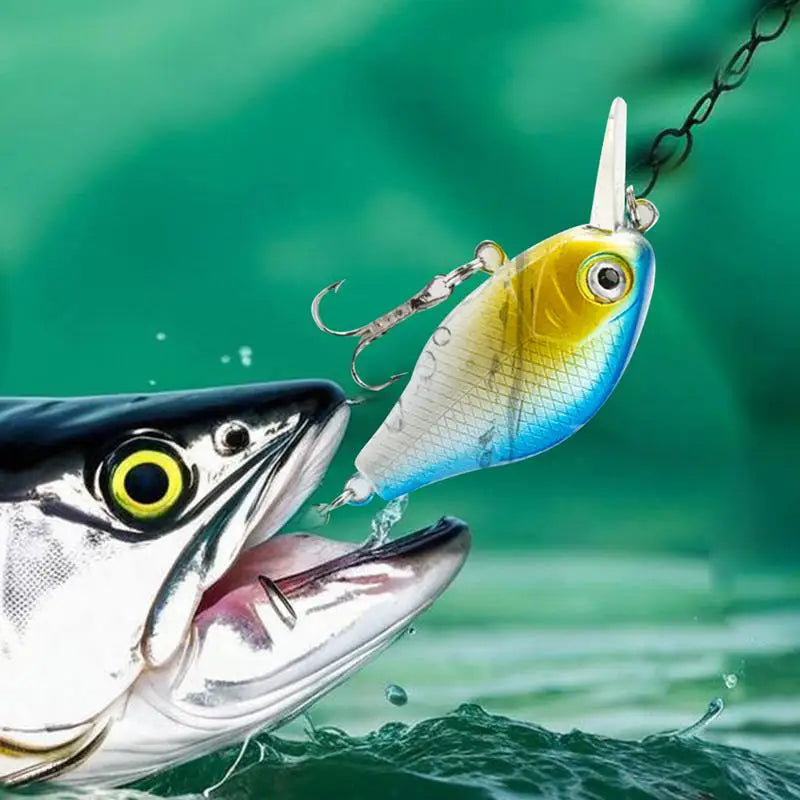 Bass Fishing Lures Kit 97 Pieces With Storage Box
