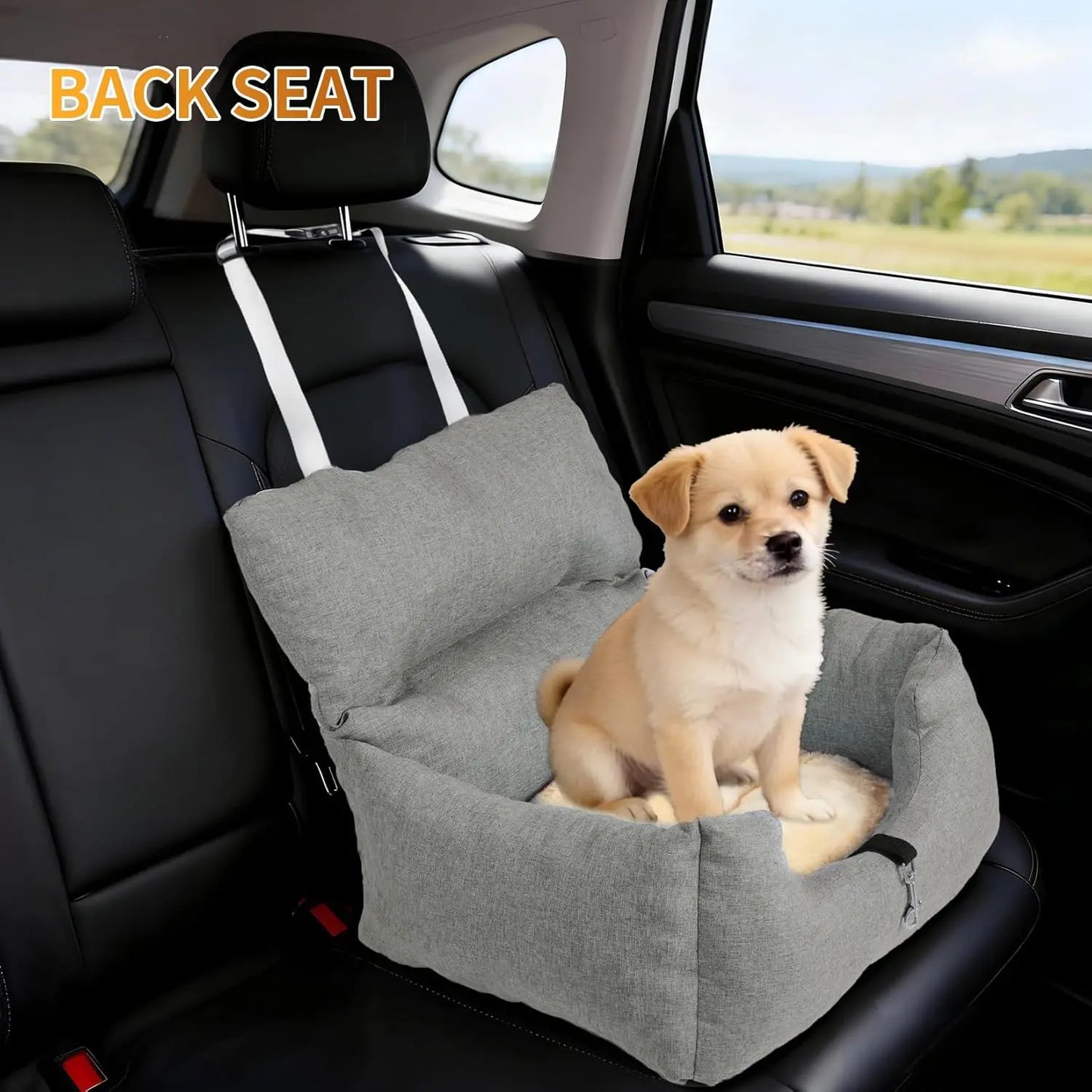 HiMISS Dog Booster Car Seat For Small Dogs With Tether