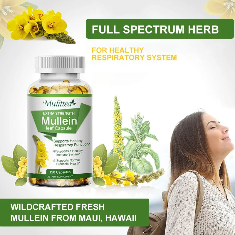 Mulittea Mullein Leaf Capsules For Lung Health And Respiratory Support