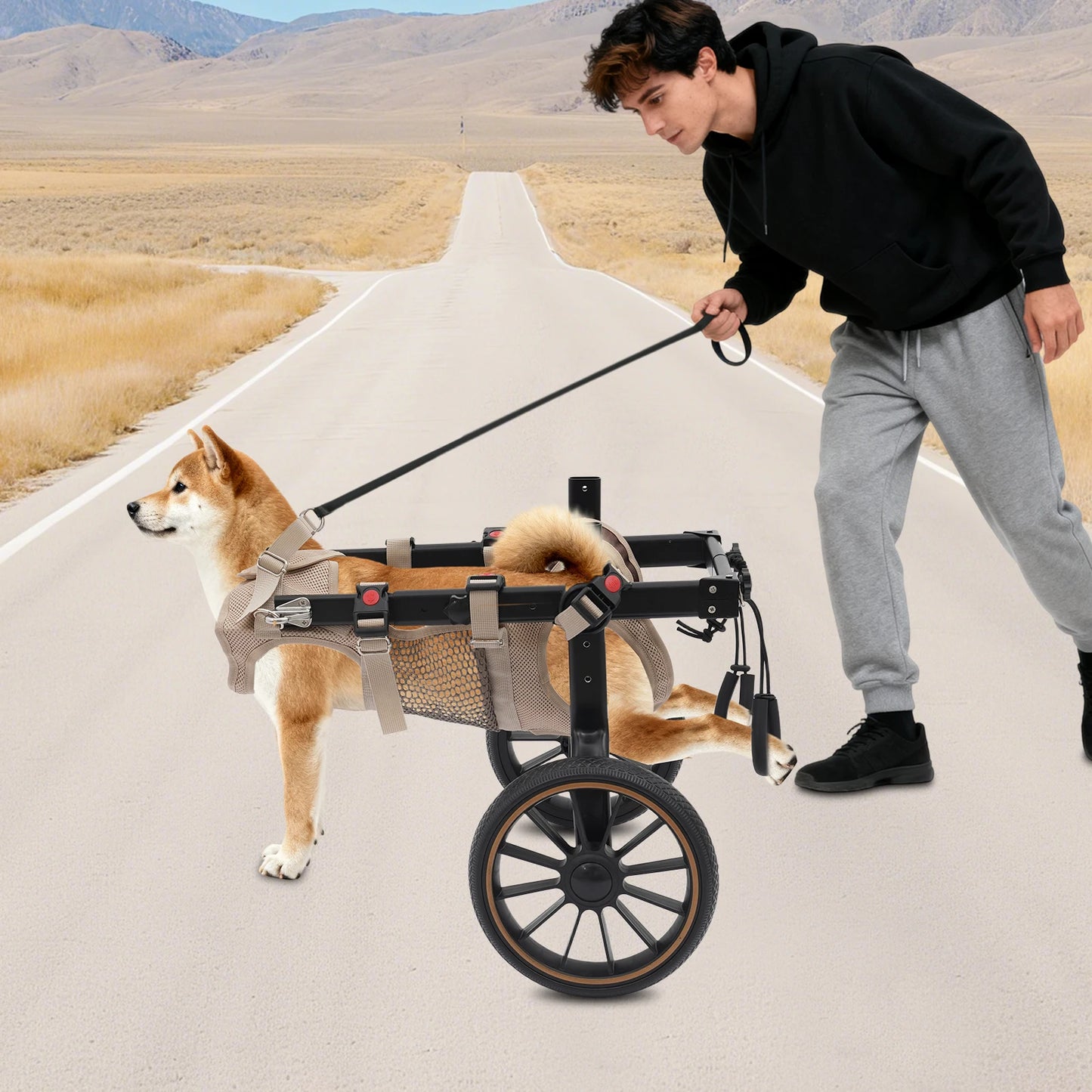 Bymaocar Adjustable Dog Trolley Wheelchair For Hind Leg Support