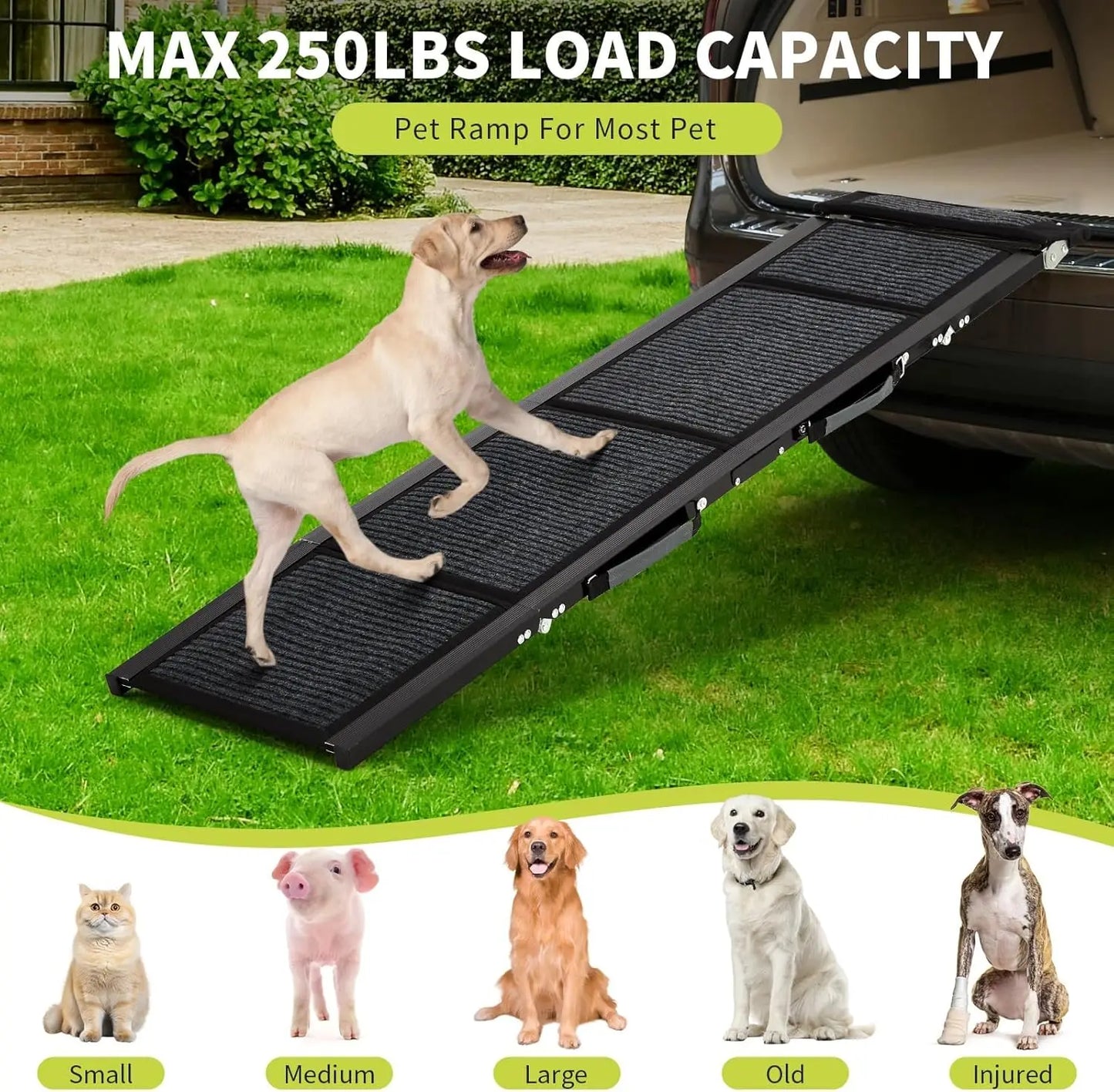 HiMISSDog Large Folding Dog Ramp For Car And SUV Vehicles