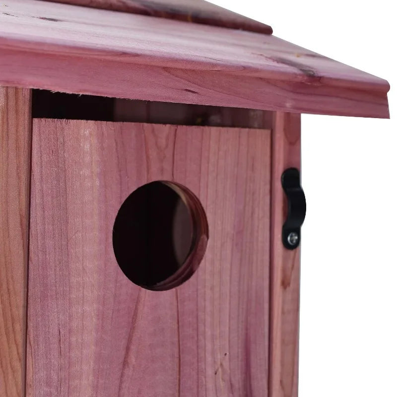 Red Cedar Bluebird House For Eastern Bluebirds Outdoors
