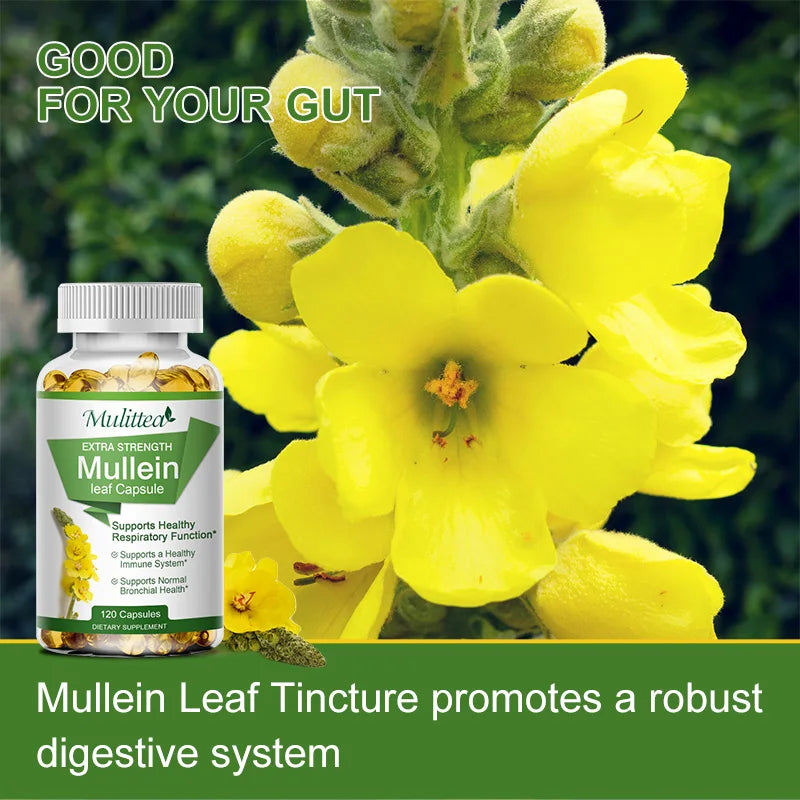 Mulittea Mullein Leaf Capsules For Lung Health And Respiratory Support