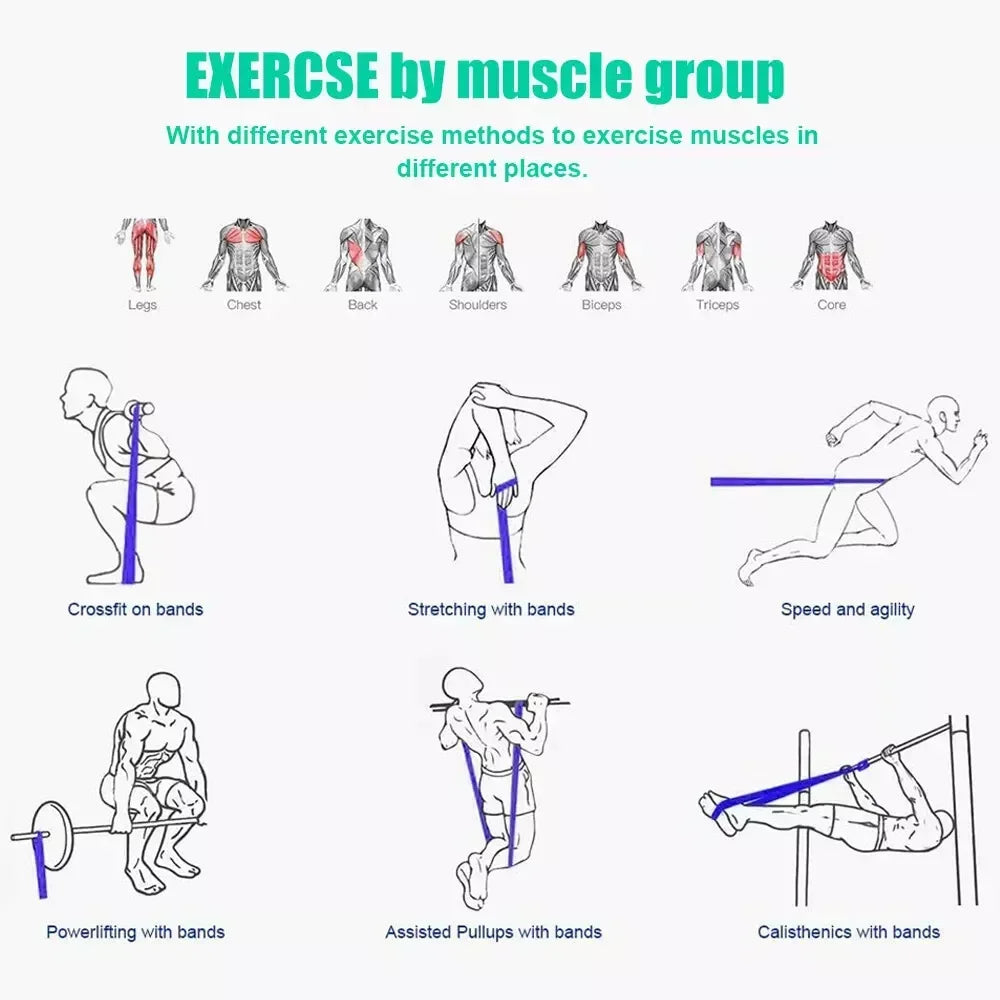 NONE TPE Gym Resistance Bands For Home Workouts And Rehab