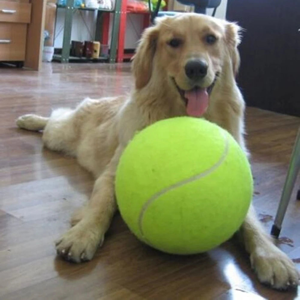 Durable Dog Tennis Ball Chew Toy for Fetch and Training