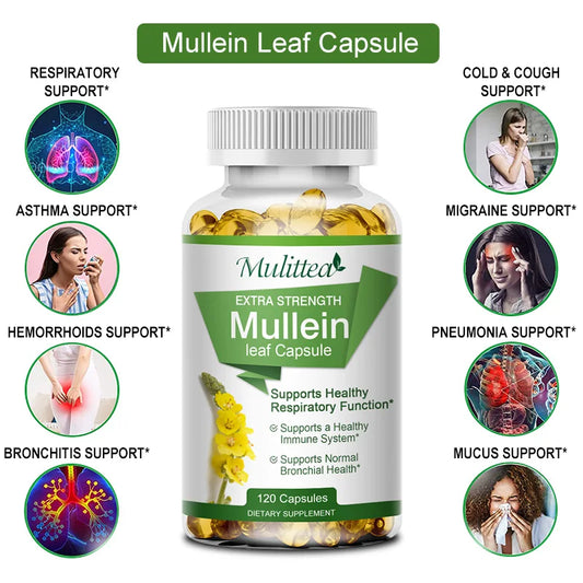Mulittea Mullein Leaf Capsules For Lung Health And Respiratory Support