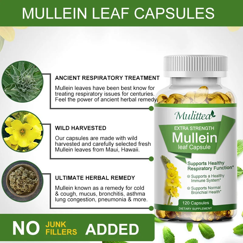 Mulittea Mullein Leaf Capsules For Lung Health And Respiratory Support