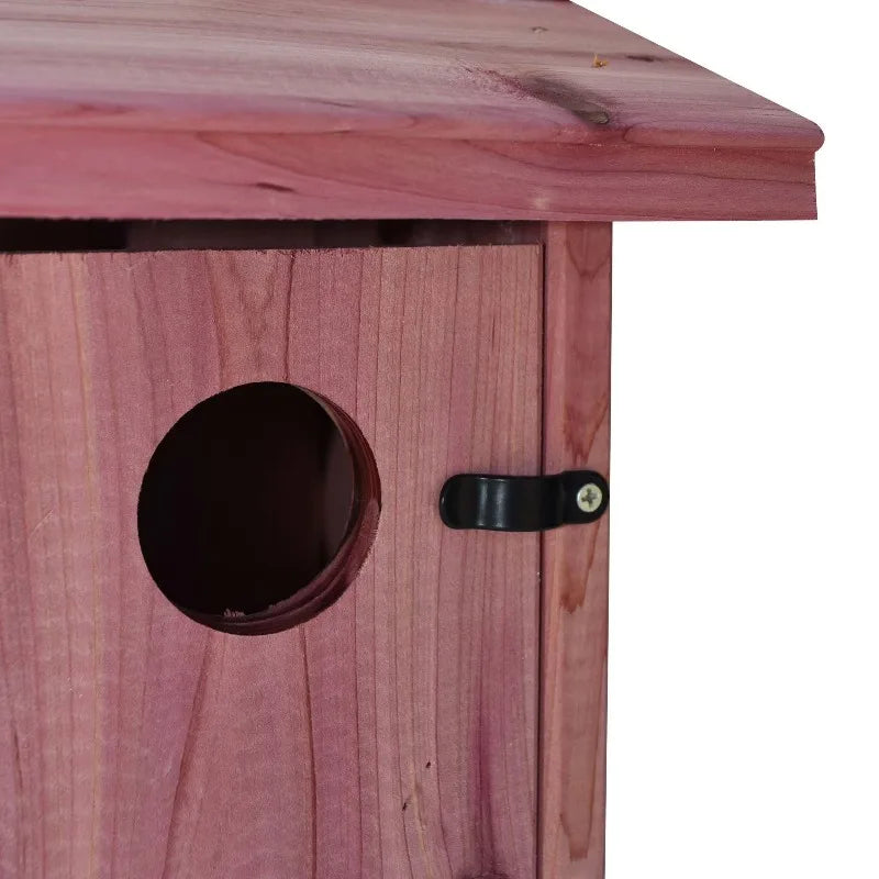 Red Cedar Bluebird House For Eastern Bluebirds Outdoors